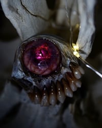 Image 11 of Undead Gaze Phone grip, Pop socket