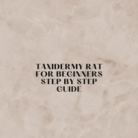 step by step guide 