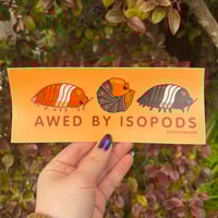 Image 1 of Awed by Isopods BUMPER Sticker