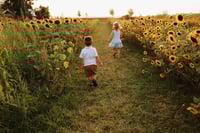 Image 5 of WILDFLOWER FARM 
