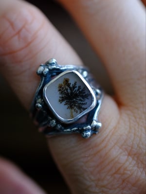 Image of MINYADES : DENDRITIC AGATE I { OOAK }