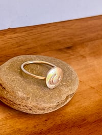 Image 7 of The Paw & the Moon 