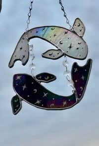 Image 2 of Yin & yang galaxy koi 