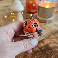 Image 3 of Mme Pumpkin Ginette 2