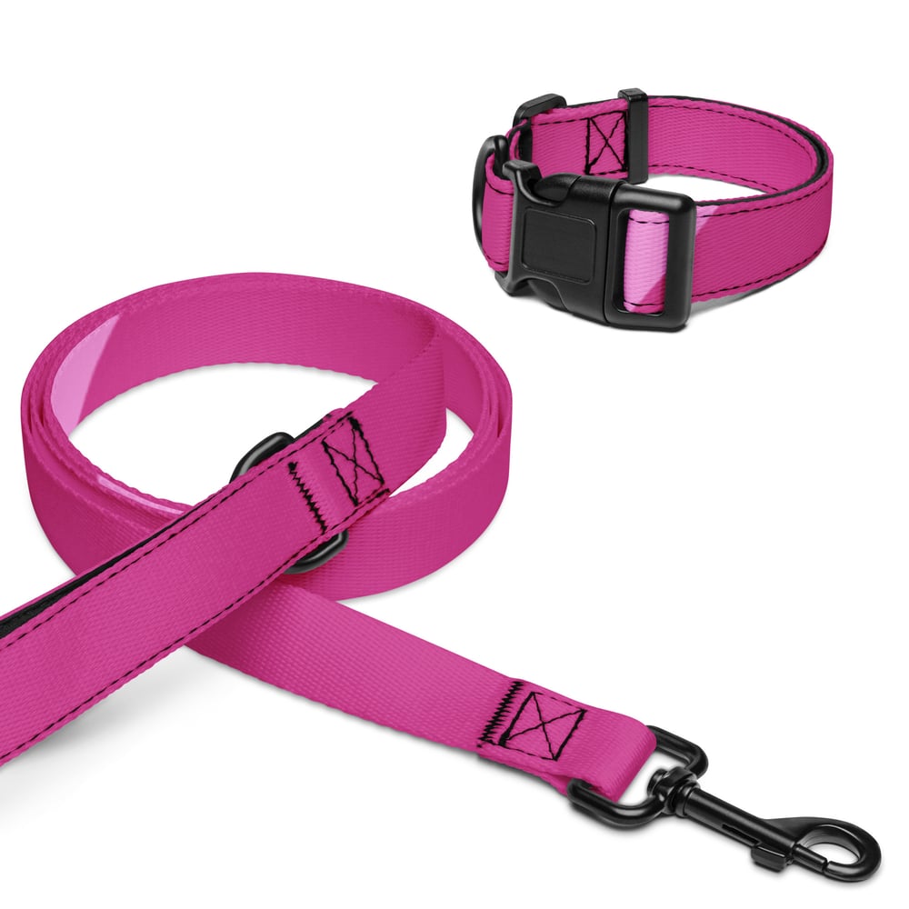 Image of Pet collar & leash Pink Love