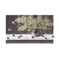 Image 2 of ACACIA DEALBATA & MARBLES