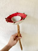 Bee bath small - 6