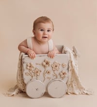 Image 5 of Baby Wagon in natural optic