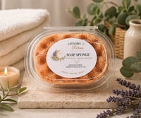 Soap Sponges Large