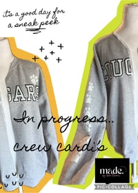 Image 1 of Crew CARDI’s 