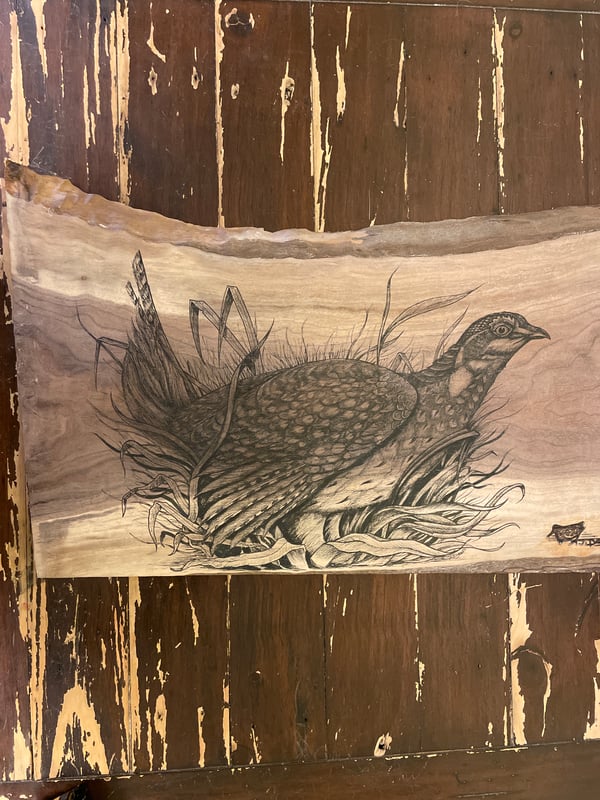 Image of Sharptail Grouse on Walnut 