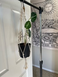 Image 5 of Macramé Plant Hangers 