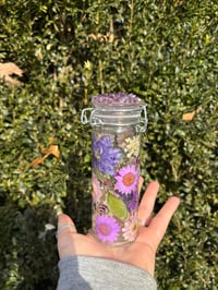 Image 2 of Andromeda