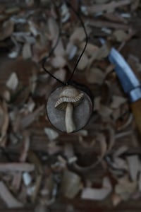 Image 1 of Silver Birch Mushroom 