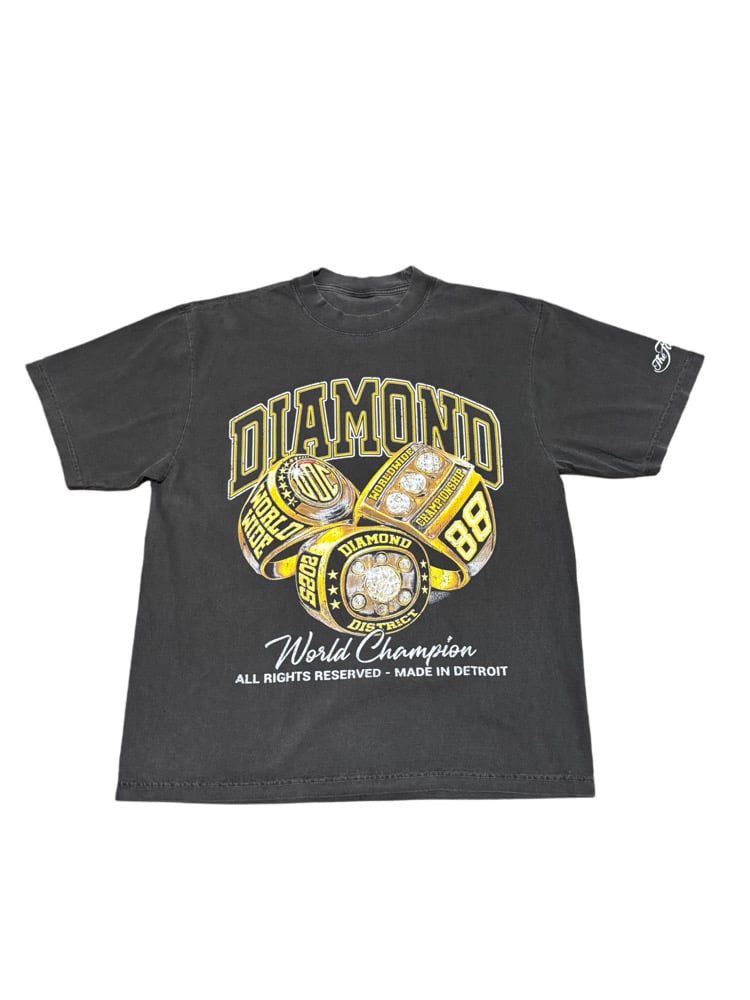 Image of Championship 3 wings(acid wash)