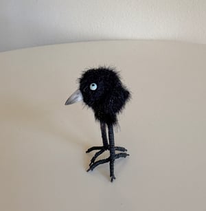 Image of Very Tiny Raven Baby #1