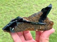 Image 13 of Vivianite & Ludlamite on Matrix Specimen |Brazil #2860