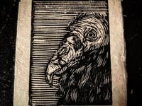 Image 4 of Vulture (Woodcut)