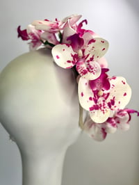 Image 2 of Pink & white orchids