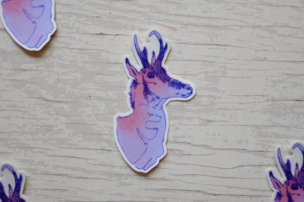 Pronghorn Antelope Sticker