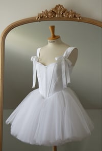 Image 1 of Swan Dress