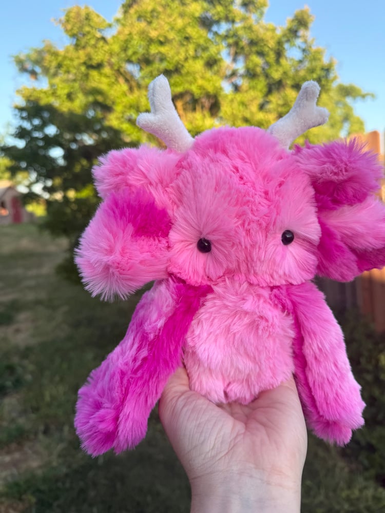 Image of nursery pink dweller