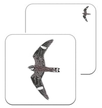 Image 4 of Common Nighthawk - No.136 - UK Birding Series