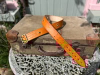 Image 1 of ‘Punjab~Saturn’ Belt