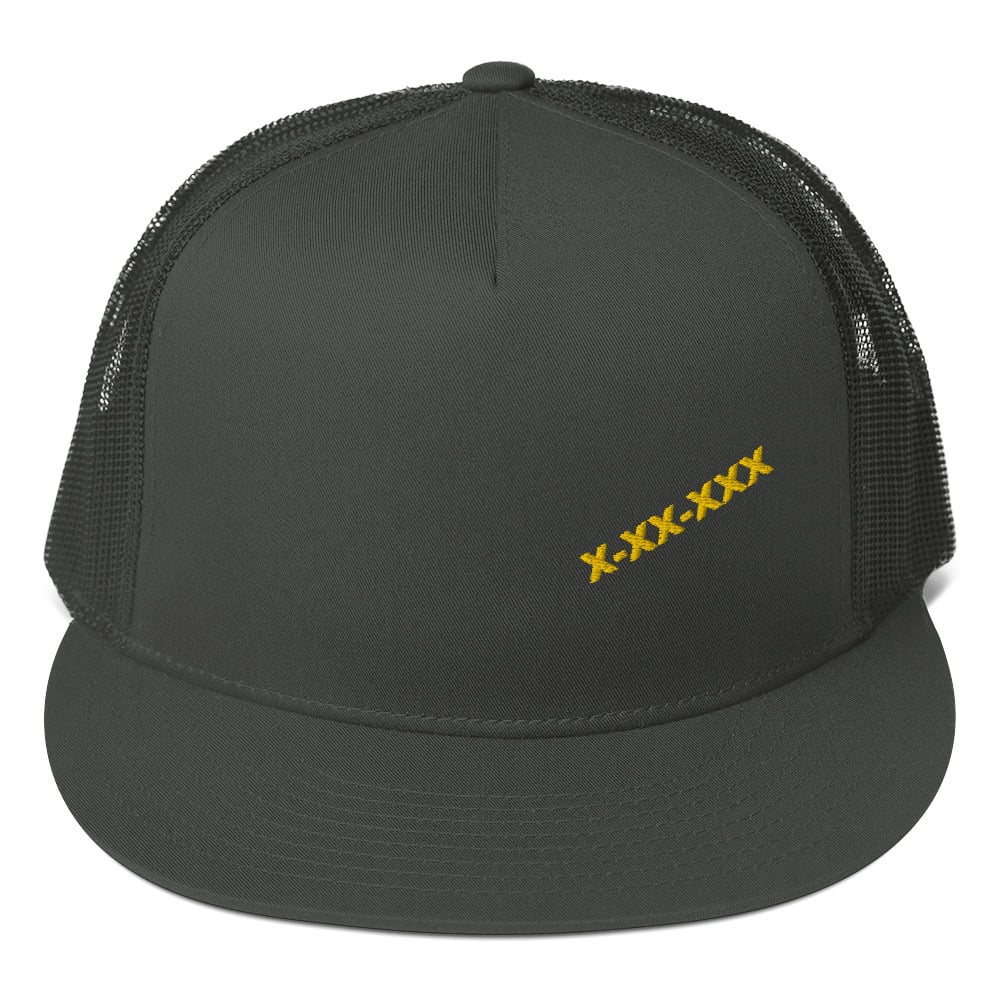 V PANEL TRUCKER HAT