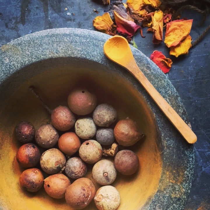 Image of oak gall ink kit