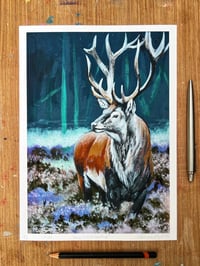Image 2 of Stag In The Heather Art Print
