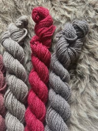 Image 3 of Mini Bundle #4 - 100G Hand Dyed Kent Romney Mini Skeins