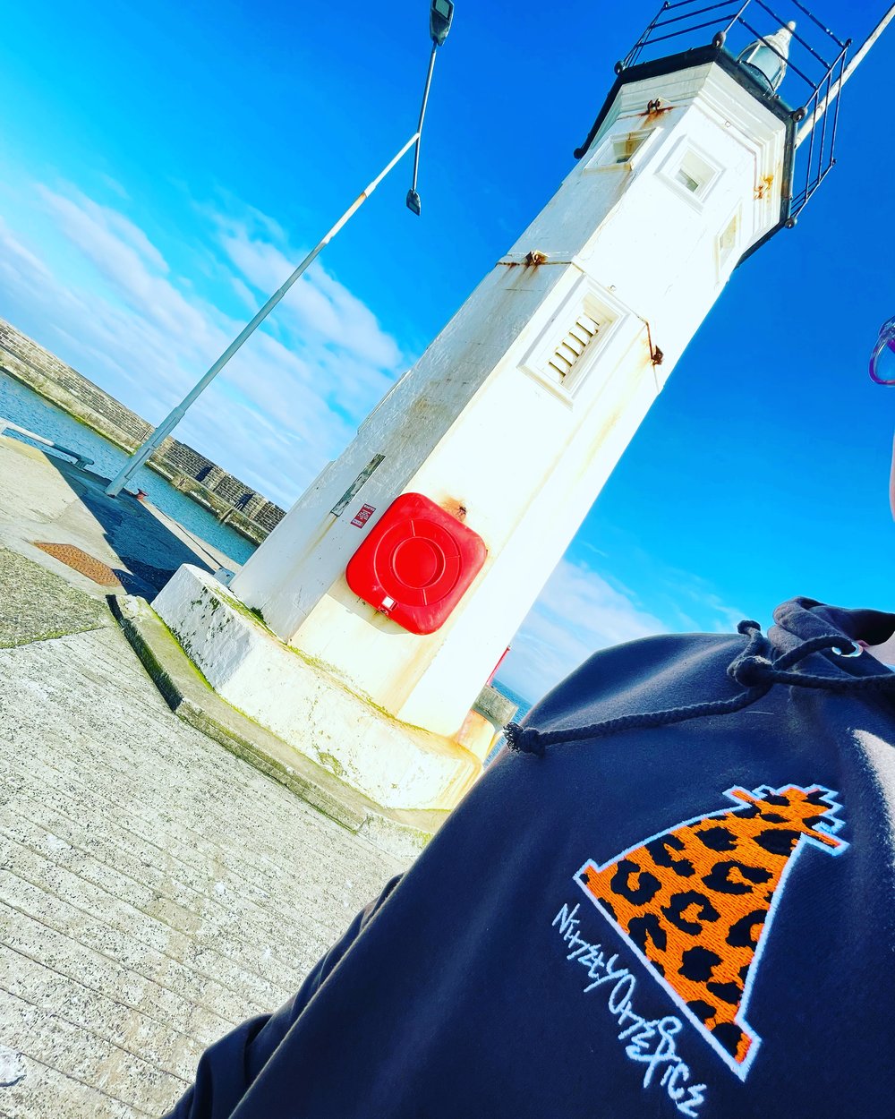 Image of Storm Grey Leopard Lighthouse Hoody