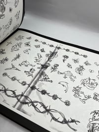 Image 3 of THE SECRET STASH OF DRAWINGS AND FLASH by  Graham Townsend