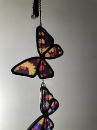 Image 4 of Butterfly V5