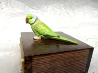 Image 16 of Handmade Custom Engraved Indian Ring Neck Parrot Urn Handpainted Pet Portrait