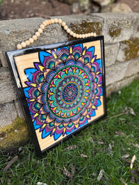 Image 3 of Rooted ✨