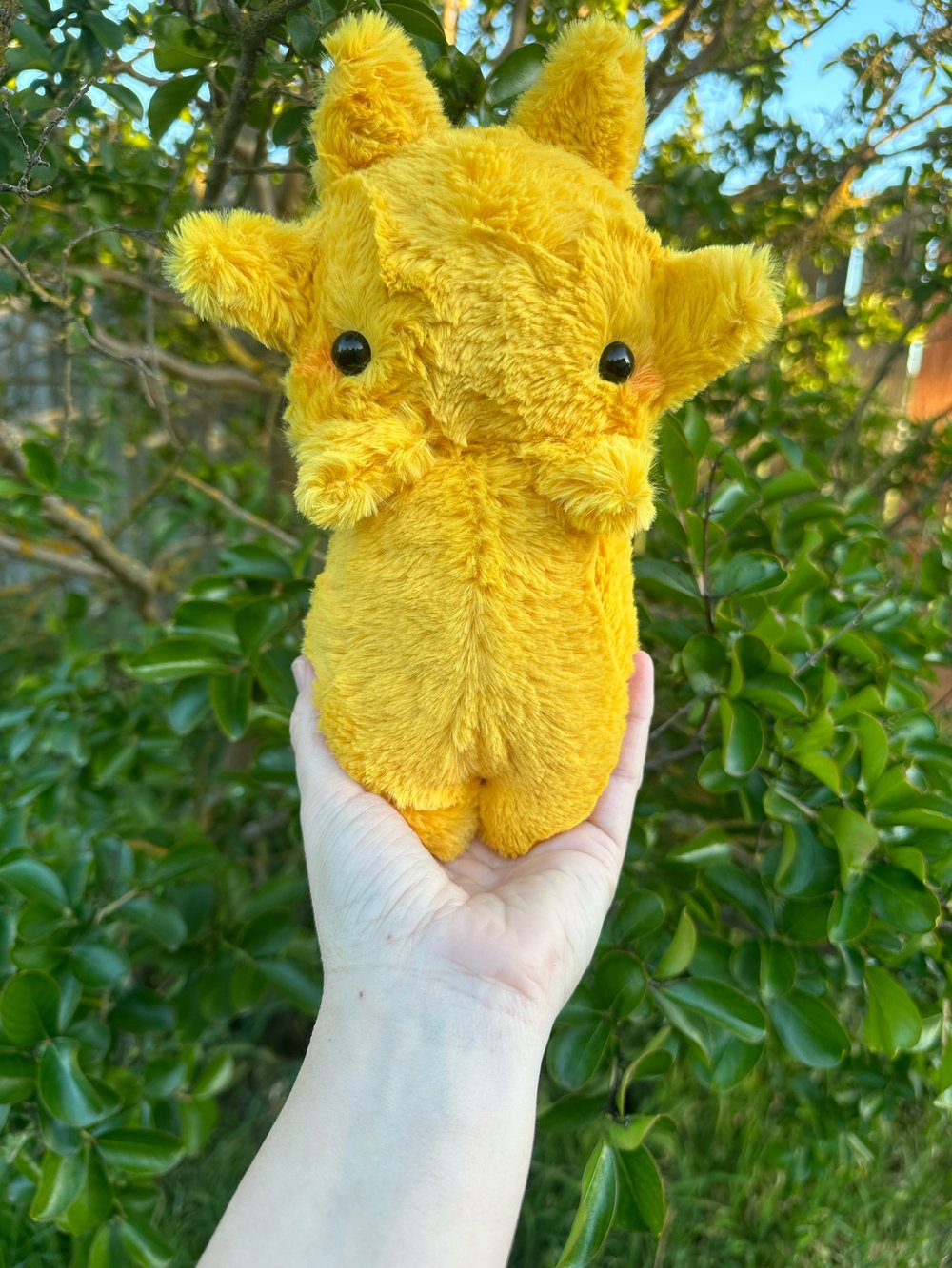 Image of Sun baby preorder