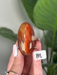 Image 13 of CARNELIAN SHIVAS