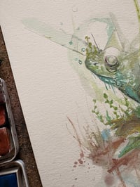 Image 3 of Grenouille 