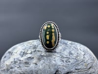 Image 2 of Ocean Jasper Statement Ring (size 8.5) v2