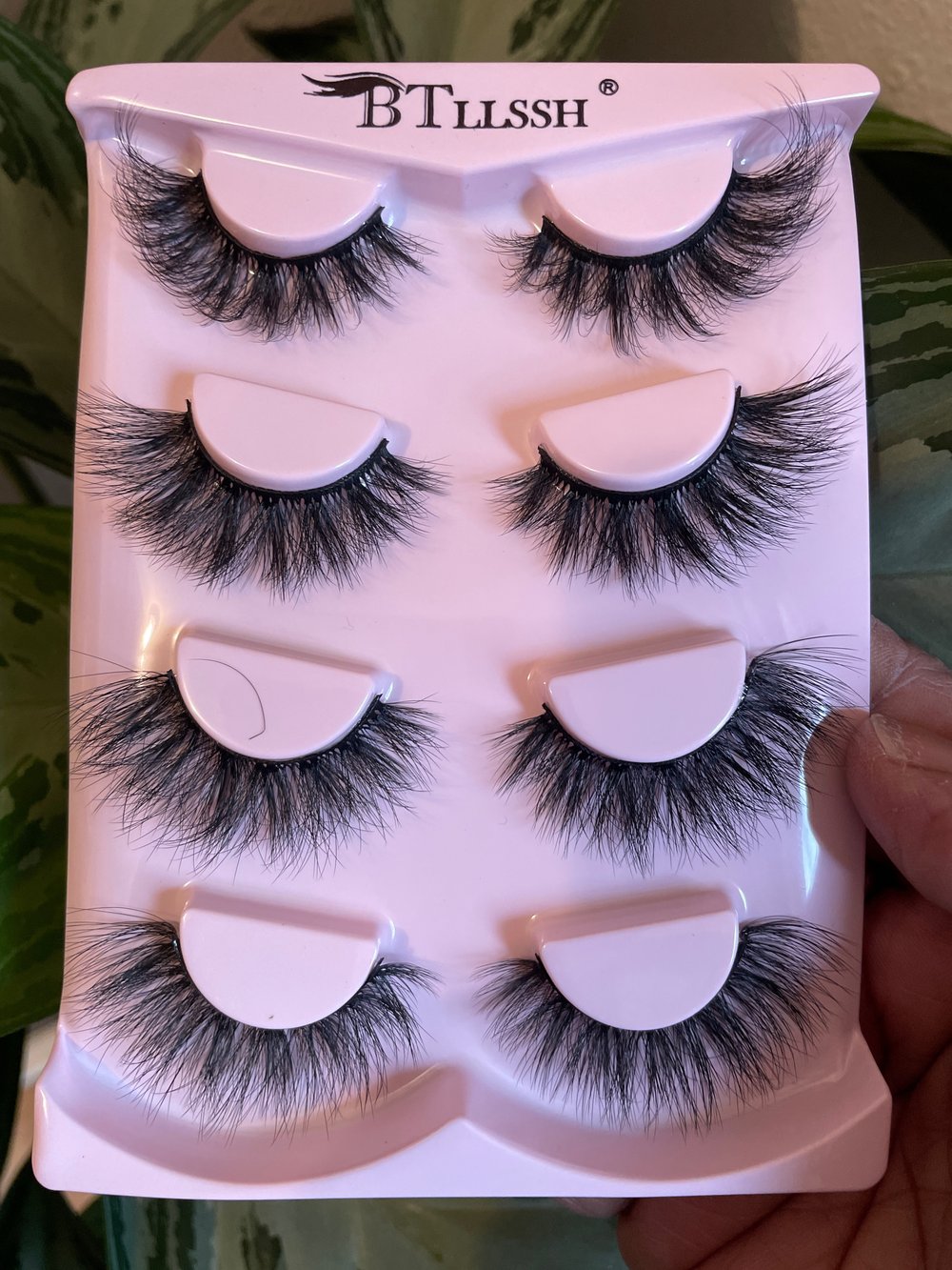 Image of Sugar Kiss