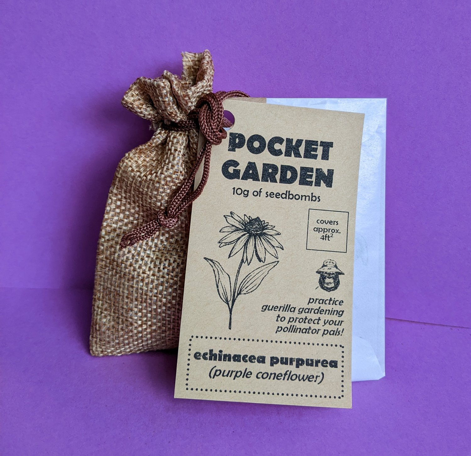 Pocket Garden - Echinacea (purple coneflower)