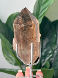 Image 3 of  SMOKEY RUTILE IN QUARTZ CLUSTER ON STAND P