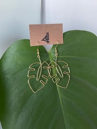 Image 1 of Monstera Leaves 