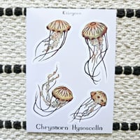 Image 4 of Jellyfish Sticker Sheet 🪼