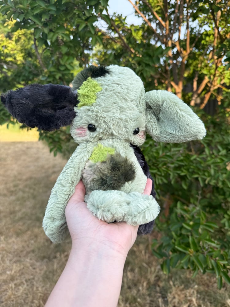 Image of moss collector