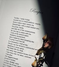 Image 3 of Failure’s Butterfly Poetry Book by Vanessa Slaughter