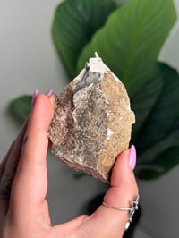 Image 2 of DENDRITIC FELDSPAR -ITALY- J