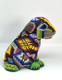 Image 2 of Bull Terrier